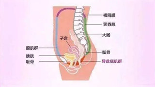 盆底肌損傷不是産(chǎn)後媽媽專屬，這些習慣也會讓盆底「受傷」